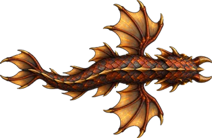 Dragonete-do-recife